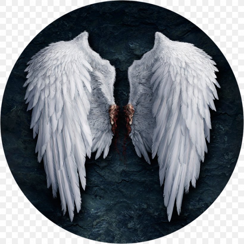 Angels Of The Deep Lucifer Castiel, PNG, 1110x1110px, Angel, Abrahamic Religions, Beak, Castiel, Demon Download Free