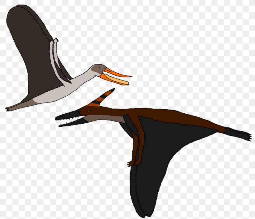 Beak Cygnini Bird Goose Ducks, PNG, 964x829px, Beak, Bird, Charadriiformes, Ciconiiformes, Crane Download Free