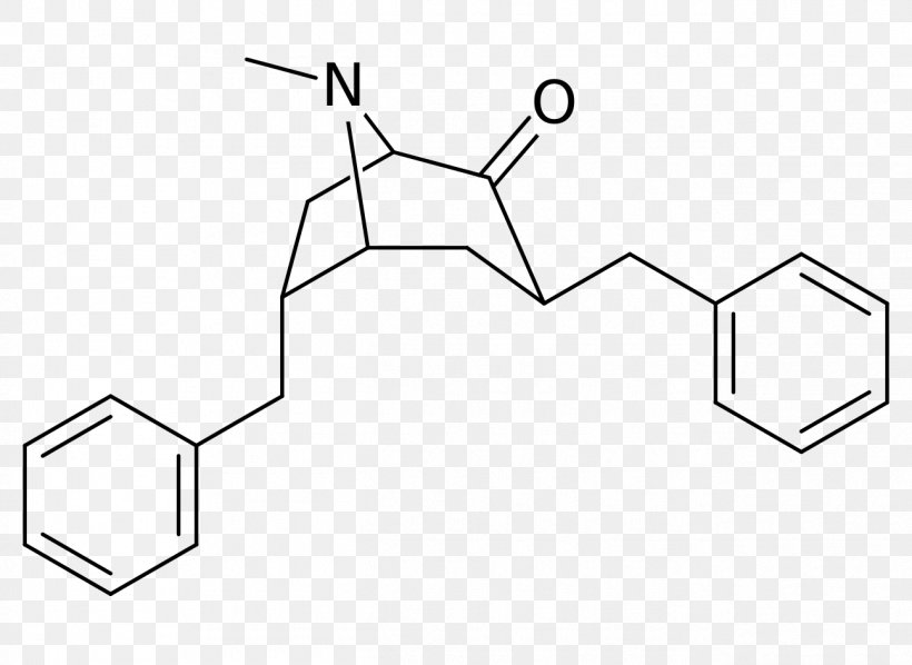Biphenyl Chemistry Benzyl Group Chemical Substance Methyl Group, PNG, 1295x945px, Biphenyl, Amine, Area, Auto Part, Benzyl Group Download Free