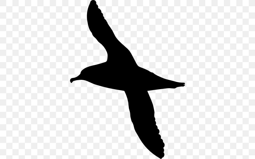 Bird Shy Albatross Chatham Albatross, PNG, 512x512px, Bird, Albatross, Beak, Black And White, Charadriiformes Download Free