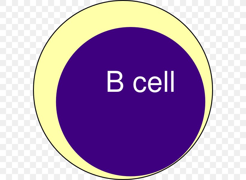 B Cell Plasma Cell Blood Plasma Clip Art, PNG, 600x600px, B Cell, Area, Blood Cell, Blood Plasma, Brand Download Free