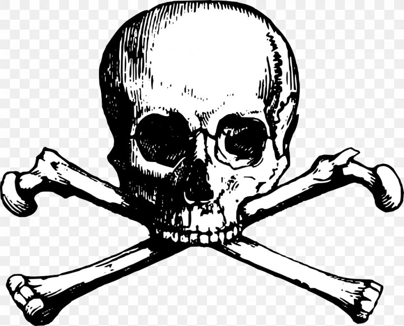clipart skull and crossbones