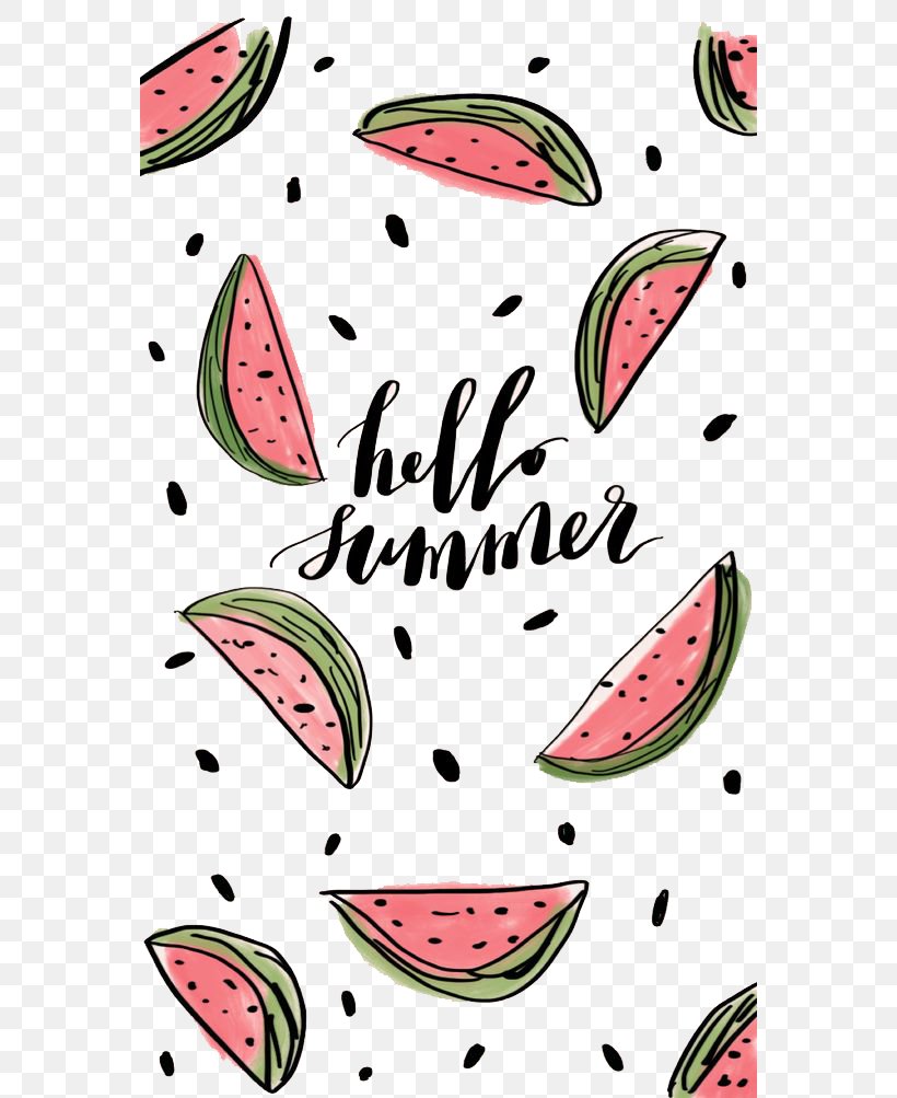 Watermelon Summer Wallpaper, PNG, 564x1003px, Watermelon, Citrullus, Food, Fruit, Hami Melon Download Free