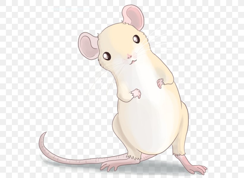 Whiskers Nose Computer Mouse Carnivores Fauna, PNG, 600x598px, Whiskers, Animal Figure, Art, Carnivores, Cartoon Download Free