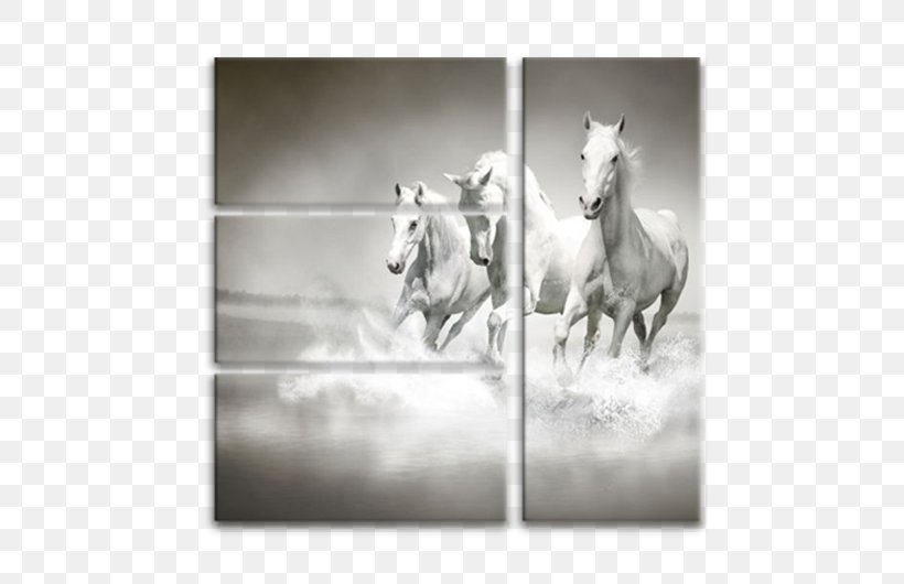 Arabian Horse Wall Decal Paper Decorative Arts Wallpaper, PNG, 750x530px, Arabian Horse, Bedroom, Black, Black And White, Canvas Print Download Free