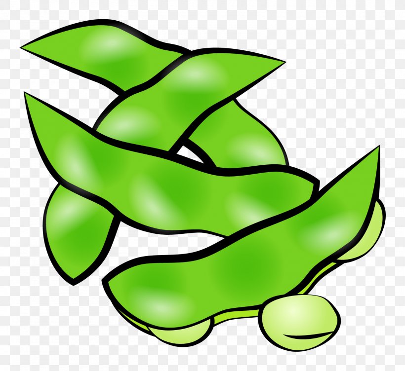 Leaf Plant Stem Line Clip Art, PNG, 1600x1468px, Leaf, Area, Artwork, Green, Organism Download Free
