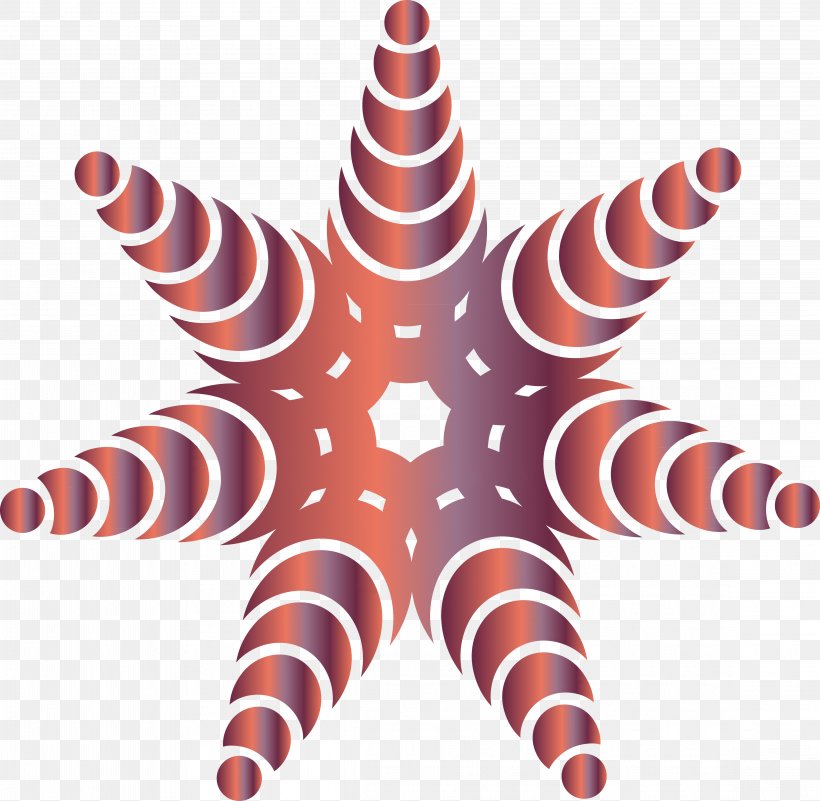 Light Star Invertebrate Color, PNG, 4593x4491px, Light, Background Light, Color, Echinoderm, Invertebrate Download Free