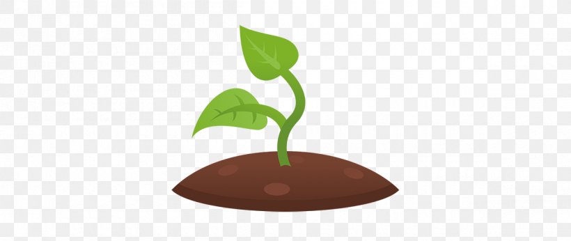 Little Footsteps Of Dereham Child Leaf Plant Stem Seedling, PNG, 1200x507px, Little Footsteps Of Dereham, Business, Child, Dereham, Developmental Psychology Download Free