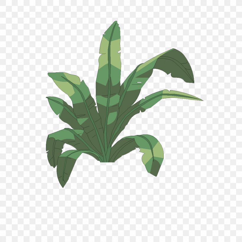 Multiple Choice Flowerpot Psychological Testing Houseplant Drawing, PNG