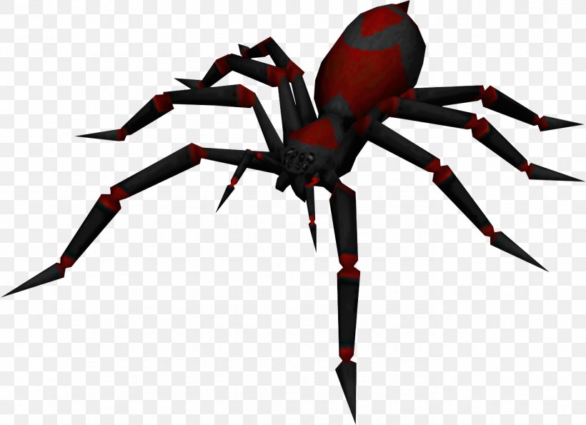 RuneScape Spider Is It Poisonous? Scorpion, PNG, 1378x1000px, Runescape, Animal, Arachnid, Arthropod, Diving Bell Spider Download Free
