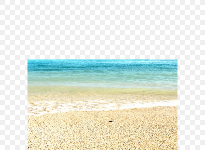 Sea Summer Vacation Turquoise, PNG, 600x600px, Sea, Aqua, Beach, Calm, Horizon Download Free