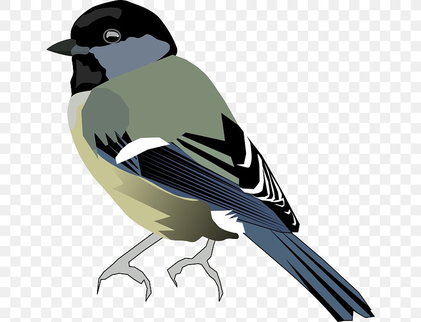 Bird Black-capped Chickadee Beak Clip Art, PNG, 640x628px, Bird, Beak, Blackcapped Chickadee, Chickadee, Emberizidae Download Free