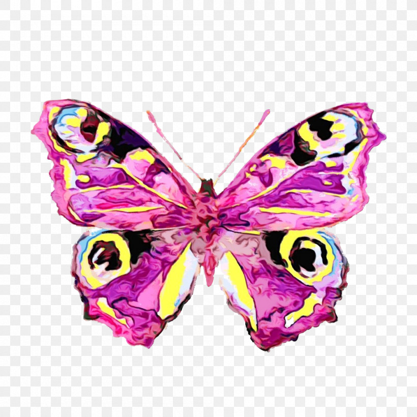 Cynthia (subgenus) Butterfly Insect Pink Moths And Butterflies, PNG, 1000x1000px, Watercolor, Butterfly, Cynthia Subgenus, Insect, Moth Download Free