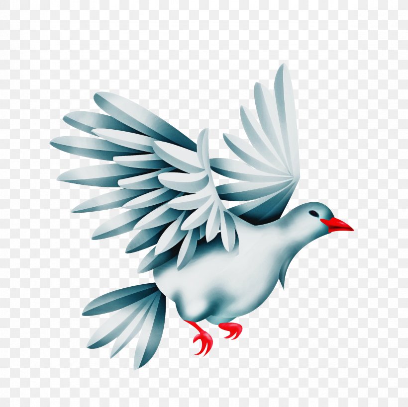 Dove Logo, PNG, 2362x2362px, Bird, Animal, Beak, Cartoon, Columbiformes Download Free
