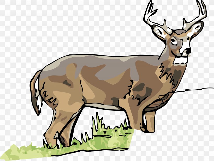 Musk Deer Cattle Elk Nebraska, PNG, 4894x3692px, Deer, Animal, Antelope, Antler, Cattle Download Free