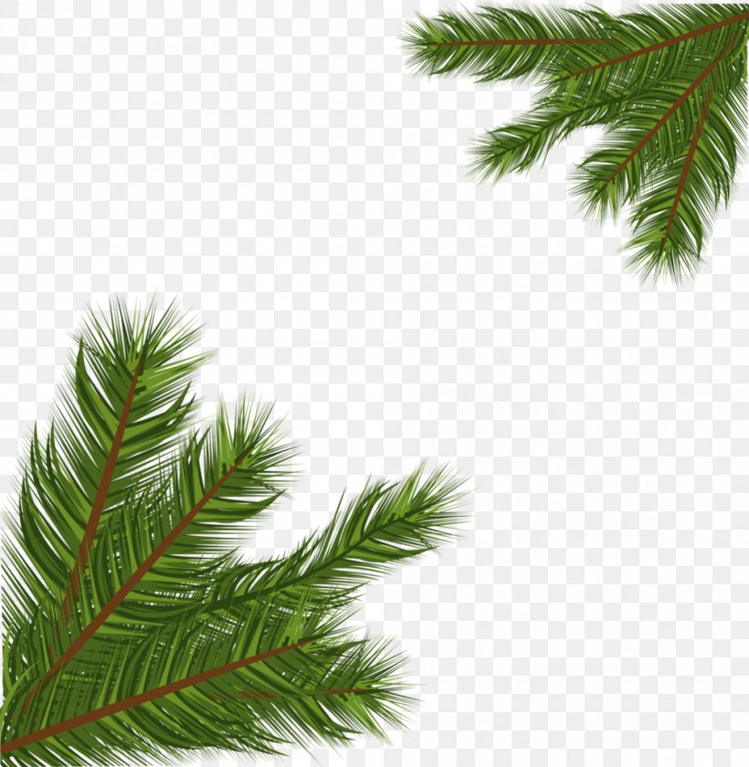 Spruce Fir Christmas Tree Pine Christmas Ornament, PNG, 999x1024px, Spruce, Biome, Branch, Christmas, Christmas Ornament Download Free