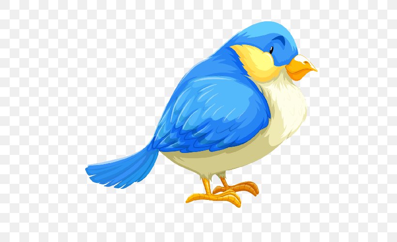 Bird Beak, PNG, 500x500px, Bird, Beak, Blue, Blueandyellow Macaw, Bluebird Download Free