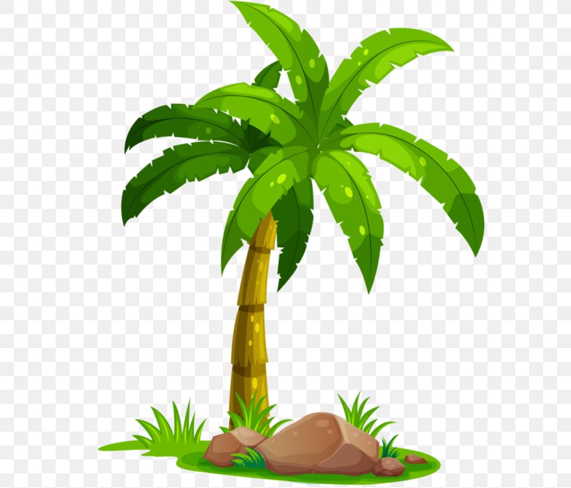 Clip Art Coconut Image Palm Trees, PNG, 600x701px, Coconut, Aquarium Decor, Arecales, Cartoon, Flowerpot Download Free