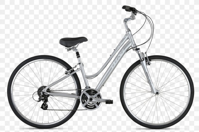 Cycling Bicycle Shop Hybrid Bicycle Single-speed Bicycle, PNG, 1023x682px, Cycling, Bicycle, Bicycle Accessory, Bicycle Derailleurs, Bicycle Drivetrain Part Download Free