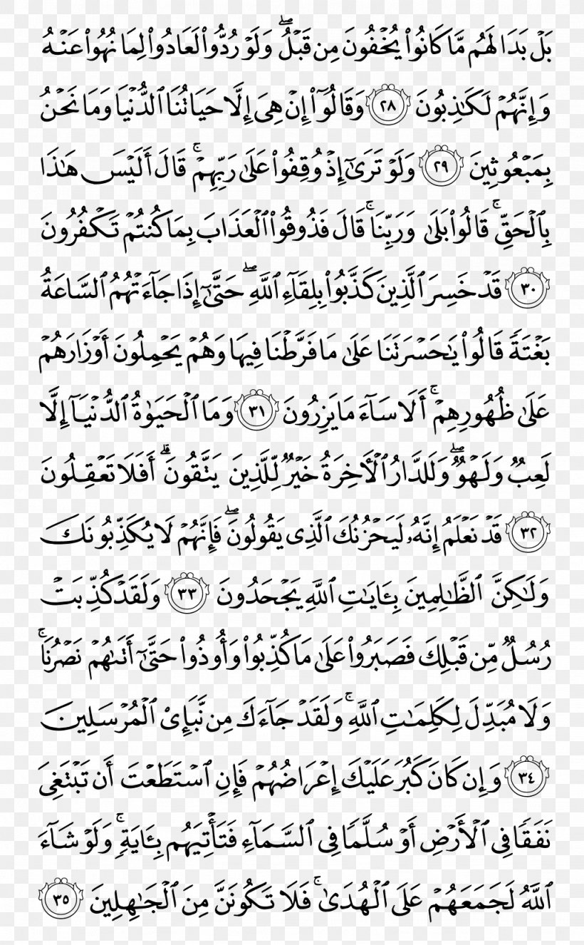 Qur'an Surah Juz' Al-An'am Al-Ma'ida, PNG, 1024x1656px, Qur An, Alan Am, Alanbiya, Alfalaq, Alfil Download Free
