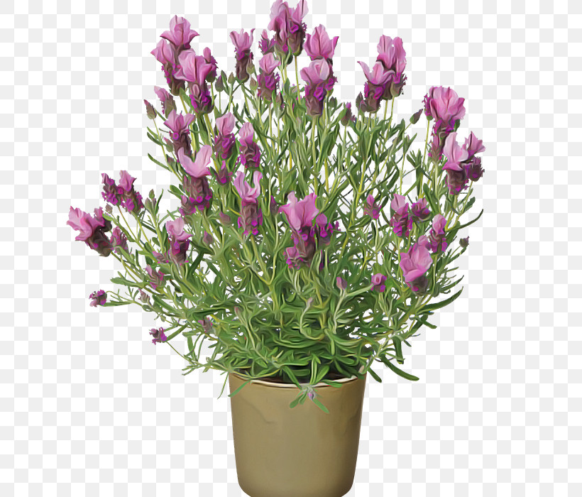 Artificial Flower, PNG, 700x700px, French Lavender, Artificial Flower, Cut Flowers, English Lavender, Floral Design Download Free