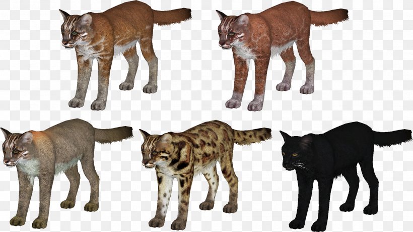 Asian Golden Cat Zoo Tycoon 2 Asian Golden Cat Cougar, PNG, 1883x1062px, Cat, Animal, Animal Figure, Asia, Asian Golden Cat Download Free