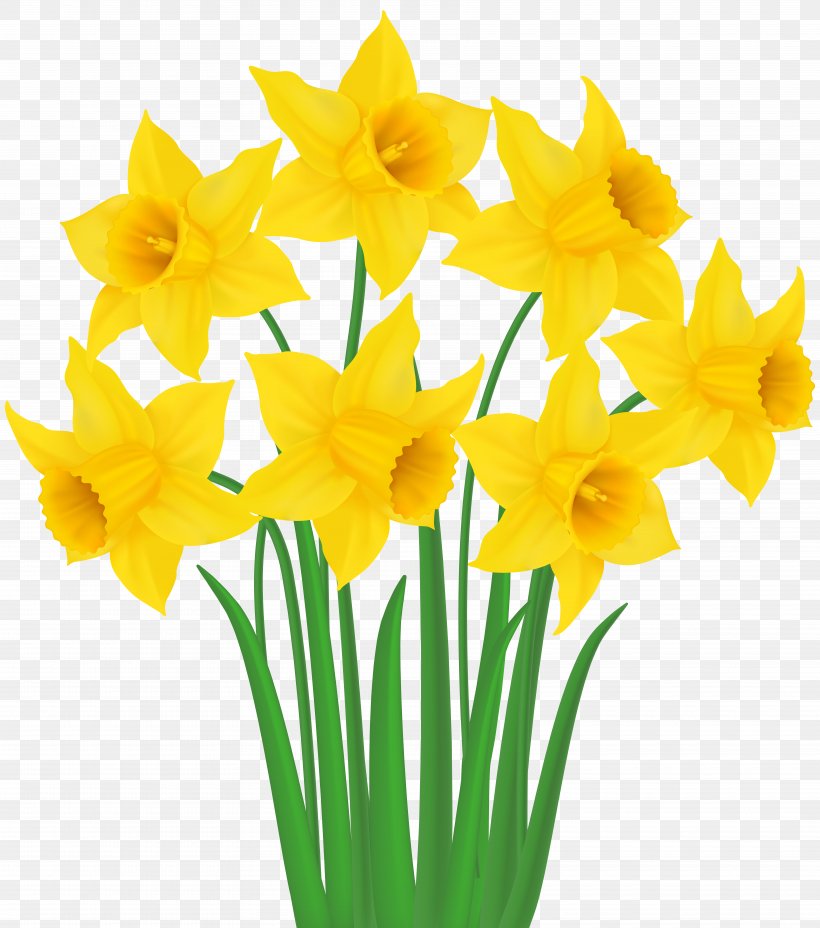 Daffodil Clip Art, PNG, 7065x8000px, Daffodil, Amaryllis Family, Cut Flowers, Drawing, Easter Basket Download Free