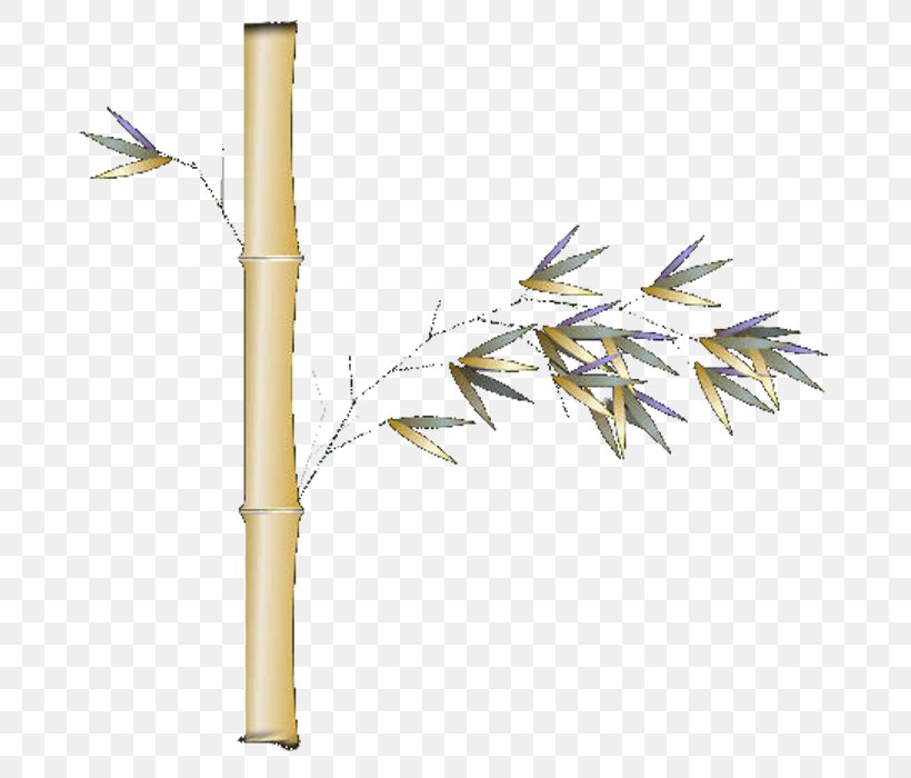 Bamboo Bamboe Chrysanthemum, PNG, 700x700px, Bamboo, Bamboe, Branch, Chrysanthemum, Editing Download Free
