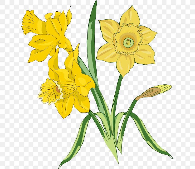 Daffodil Flower Clip Art, PNG, 640x713px, Daffodil, Amaryllis Family, Blog, Cut Flowers, Drawing Download Free