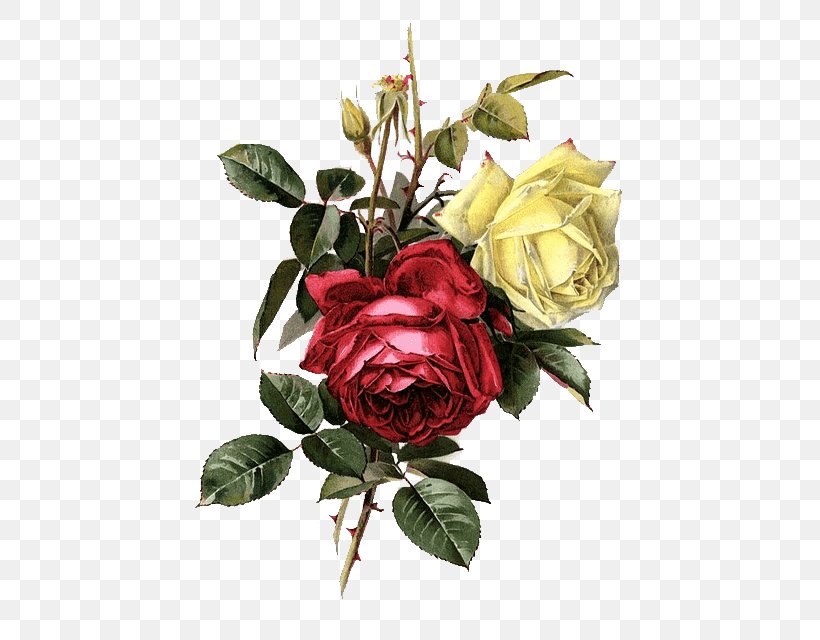 Garden Roses Cabbage Rose Painter Cut Flowers, PNG, 457x640px, Garden Roses, Artificial Flower, Cabbage Rose, Cut Flowers, Embroidery Download Free