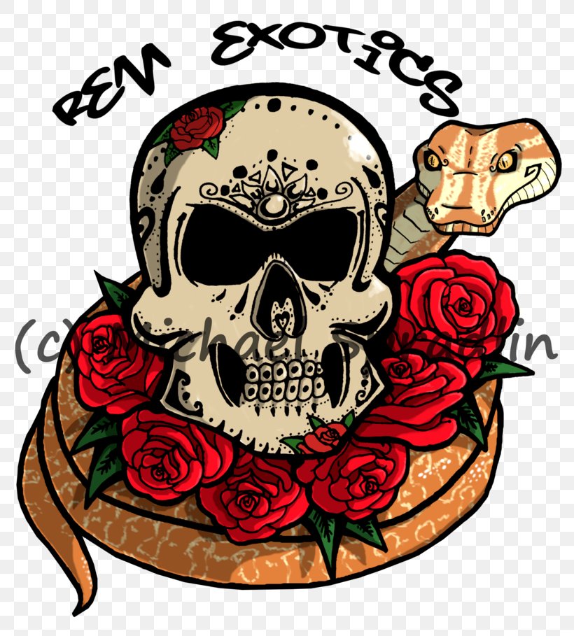 Illustration Clip Art Food Skull, PNG, 800x909px, Food, Bone, Skull Download Free