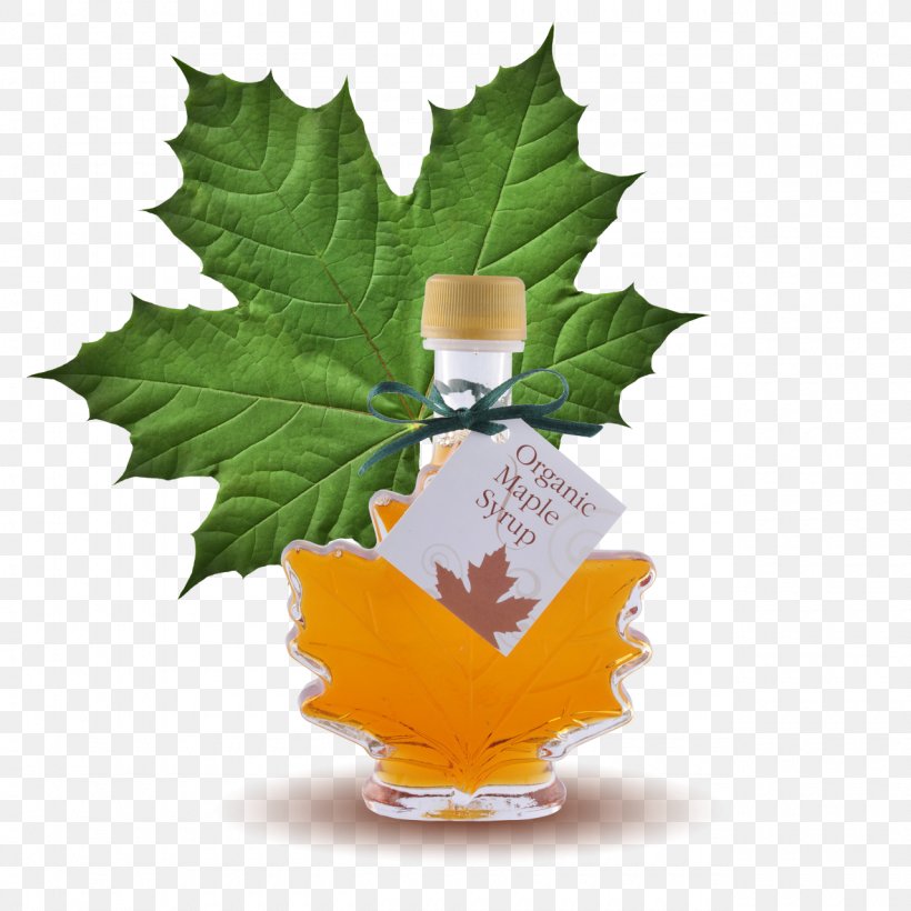 Maple Syrup Lemonade Sugar Substitute, PNG, 1280x1280px, Maple Syrup, Diet, Flowerpot, Glucose Syrup, Leaf Download Free