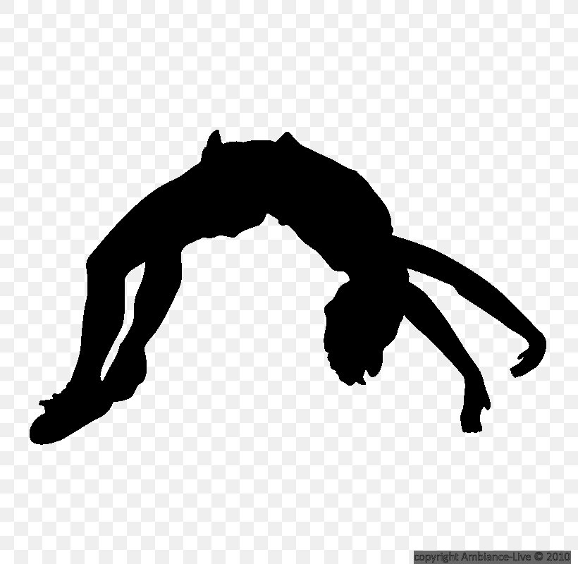 Silhouette Cheerleading Tumbling Gymnastics Clip Art, PNG, 800x800px, Silhouette, Arm, Black, Black And White, Cartoon Download Free