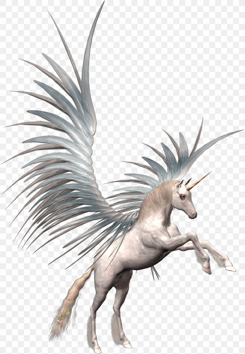 Unicorn Pegasus Clip Art, PNG, 1109x1600px, Unicorn, Adobe Flash, Dragon, Fauna, Feather Download Free