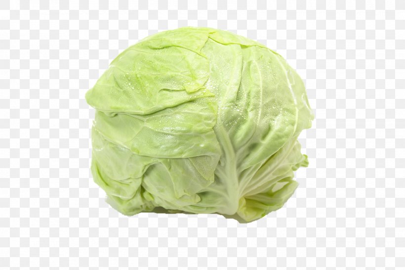 Cabbage Vegetable Food Lettuce Desiccation, PNG, 1600x1067px, Cabbage, Bell Pepper, Brussels Sprout, Collard Greens, Cruciferous Vegetables Download Free