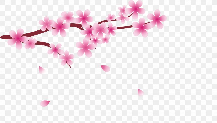 National Cherry Blossom Festival Cerasus, PNG, 3491x1993px, Cherry Blossom, Blossom, Cerasus, Drawing, Flower Download Free