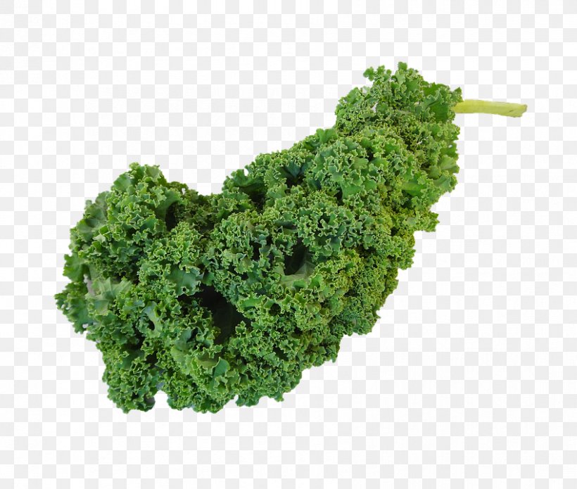 Vegetarian Cuisine Curly Kale Leaf Vegetable, PNG, 849x720px, Vegetarian Cuisine, Brassica Oleracea, Broccoli, Capitata Group, Chou Download Free