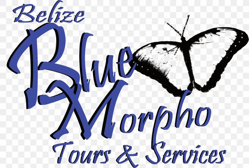 Belize Blue Morpho Tours And Services Blue Morpho Ayahuasca Center Belize Zoo Maya Civilization Xunantunich, PNG, 2149x1453px, Maya Civilization, Adventure, Belize, Brand, Butterfly Download Free