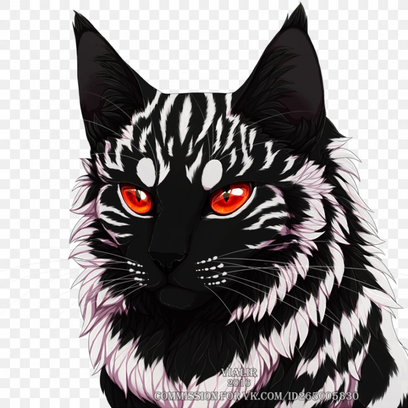 Black Cat Whiskers Warriors Erin Hunter, PNG, 894x894px, Cat, Art, Black And White, Black Cat, Brindleface Download Free
