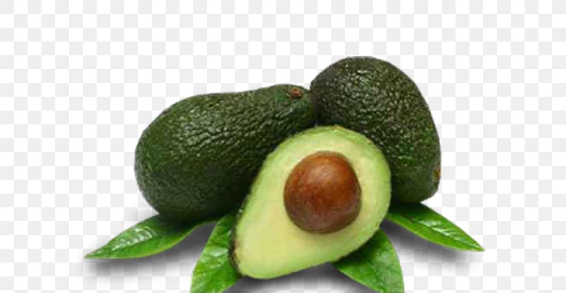 Hass Avocado High-definition Video High-definition Television Display Resolution Wallpaper, PNG, 600x424px, Hass Avocado, Avocado, Display Resolution, Food, Fruit Download Free