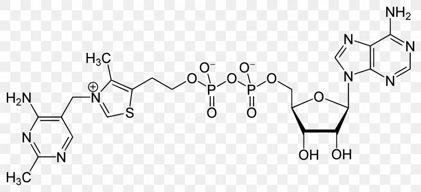 S-Adenosyl Methionine Flavin Adenine Dinucleotide Adenosine Triphosphate Adenylyl Cyclase, PNG, 2000x913px, Watercolor, Cartoon, Flower, Frame, Heart Download Free
