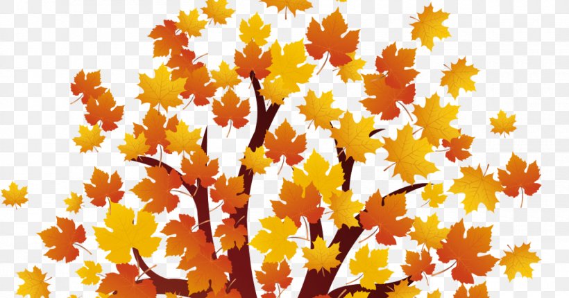 Autumn Download Red Maple Clip Art, PNG, 1200x630px, Autumn, Branch, Deciduous, Flowering Plant, Leaf Download Free