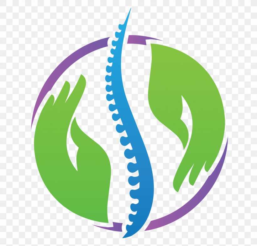 Back In Balance Massage And Bodyworks Back Pain Therapy Chiropractic, PNG, 1537x1472px, Massage, Area, Back Pain, Brand, Chiropractic Download Free