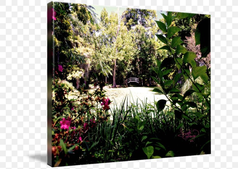 Botanical Garden Flora Landscape Vegetation, PNG, 650x584px, Botanical Garden, Botany, Flora, Flower, Garden Download Free