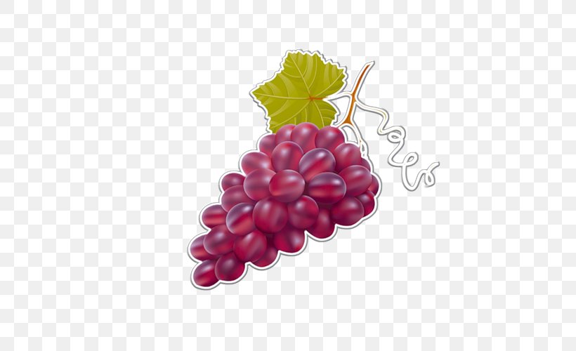 Grape Painting Auglis Drawing, PNG, 500x500px, Grape, Auglis, Charcoal, Drawing, Drink Download Free
