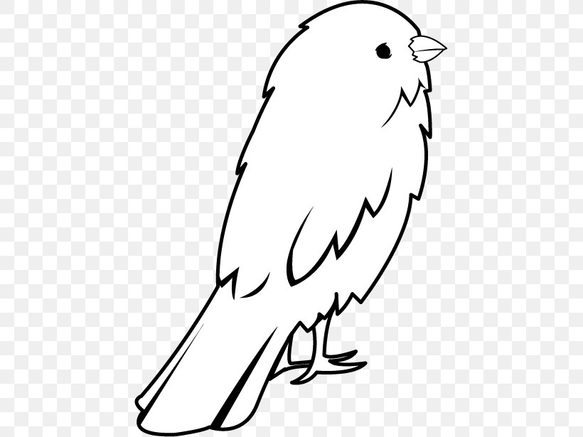 Domestic Canary Clip Art Drawing Openclipart Big Bird, PNG, 441x615px, Domestic Canary, Area, Art, Artwork, Beak Download Free