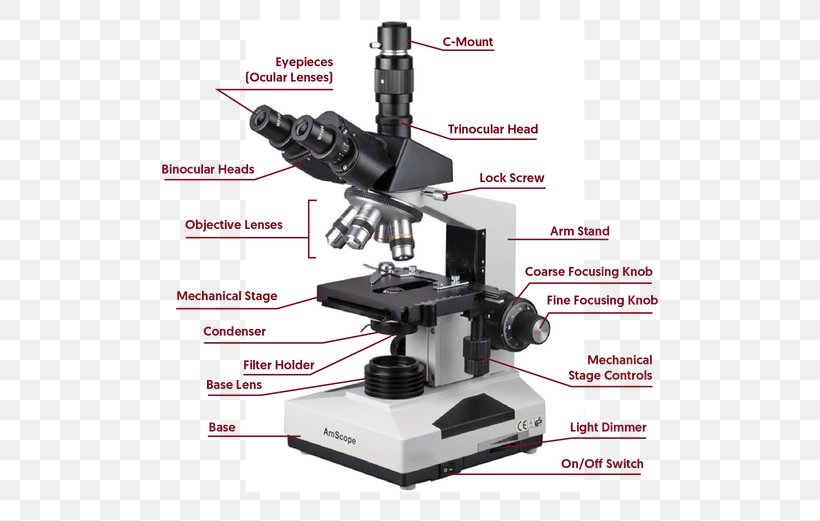 Light Phase Contrast Microscopy Optical Microscope Dark-field Microscopy, PNG, 521x521px, Light, Brightfield Microscopy, Contrast, Darkfield Microscopy, Eyepiece Download Free