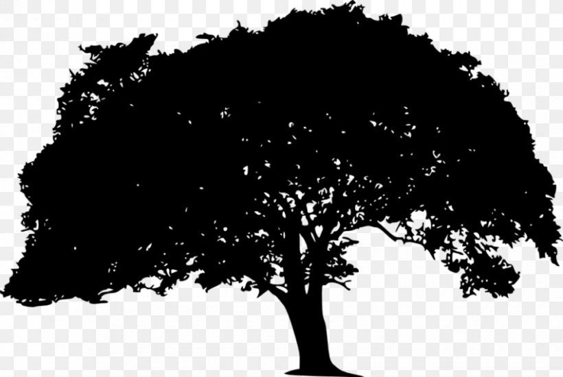 Silhouette Branch, PNG, 850x571px, Silhouette, Black, Black And White, Branch, Computer Download Free