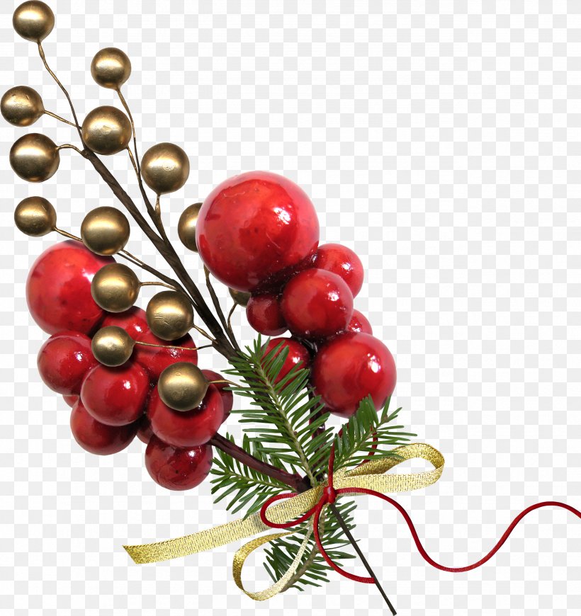 Christmas Cranberry Holiday, PNG, 2573x2732px, Christmas, Berry, Christmas Decoration, Christmas Ornament, Cranberry Download Free