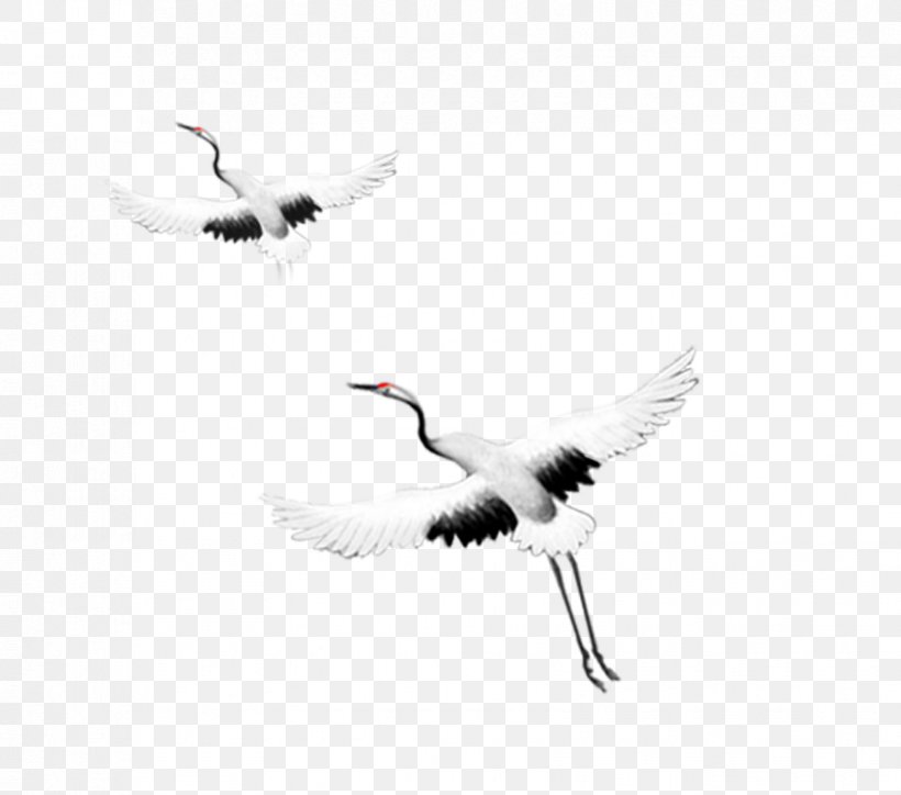 Crane Flight Bird Goose, PNG, 851x752px, Crane, Beak, Bird, Bird Flight, Black And White Download Free